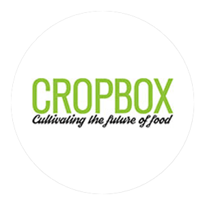 Featured image for “CropBox”