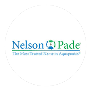 Featured image for “Nelson & Pade”