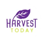 Harvest Today